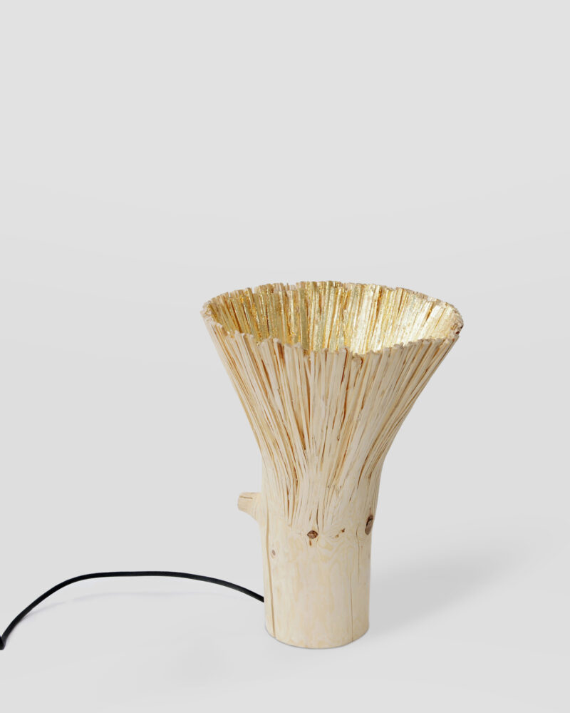 Johannes Hemann_Pressed Wood Nature Table Lamp_Lighting_Studio Fenice_ (2.)